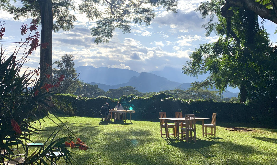 Foto del giardino di Africa Wild Travel, tour operator locale in Malawi