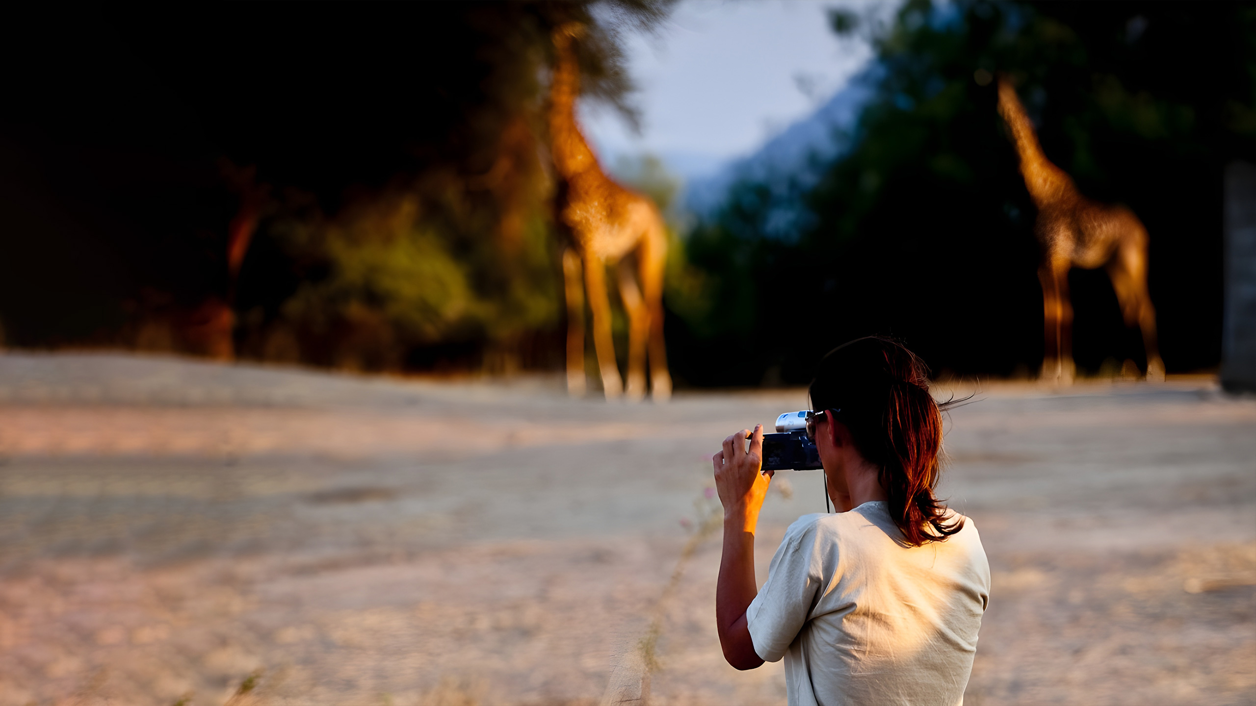 Foto di una persona che fotografa delle giraffe durante un viaggio di Africa Wild Travel